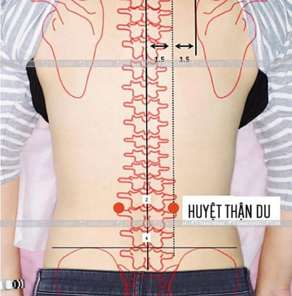 Đau thắt lưng nguyên nhân và massage bấm huyệt điều trị có hiệu quả không?